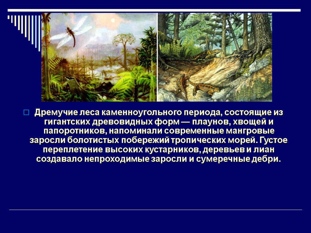 Дремучие леса каменноугольного периода, состоящие из гигантских древовидных форм — плаунов, хвощей и папоротников,